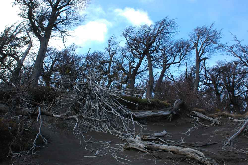 24 - Chile - parque nacional Torres del Paine